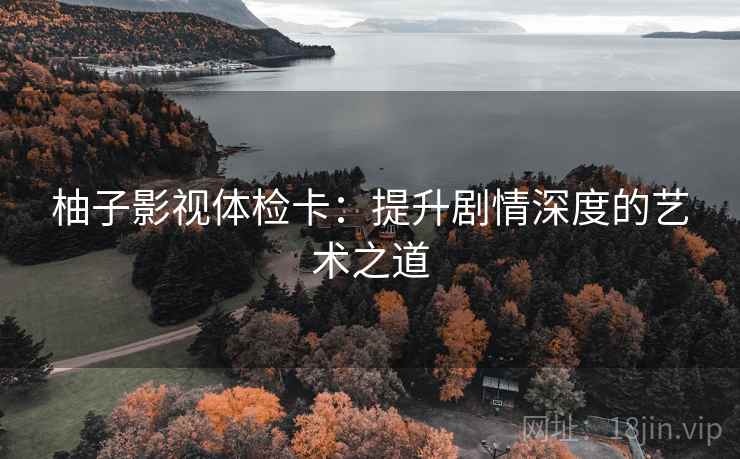 柚子影视体检卡：提升剧情深度的艺术之道