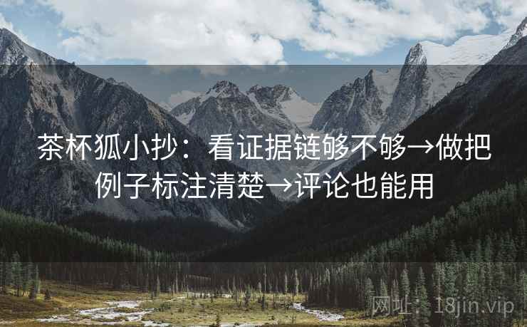 茶杯狐小抄：看证据链够不够→做把例子标注清楚→评论也能用
